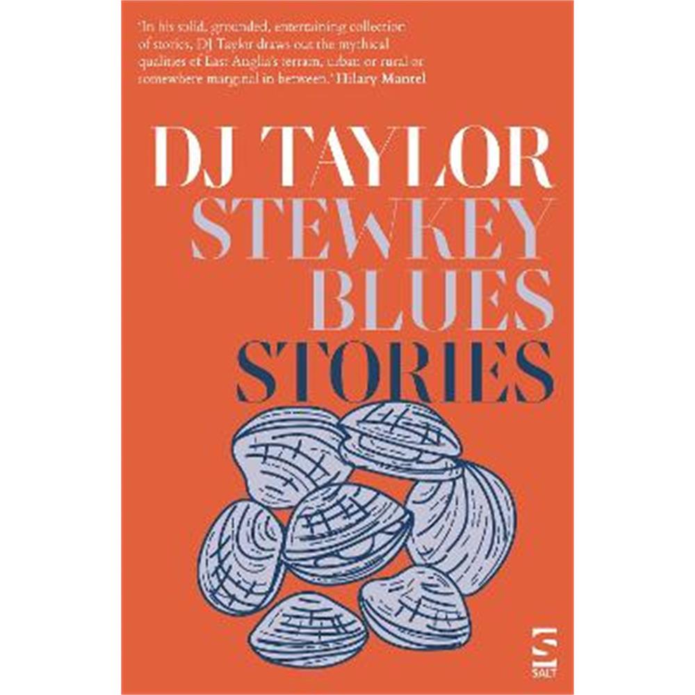 Stewkey Blues: Stories (Paperback) - D. J. Taylor